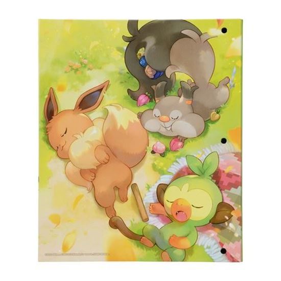 Immagine di Album Carte pokemon ad anelli con ricarica (JP)