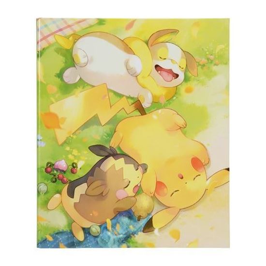 Immagine di Album Carte pokemon ad anelli con ricarica (JP)