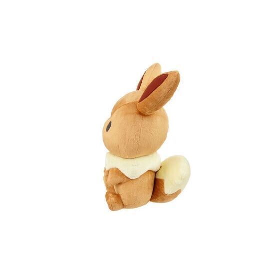 Immagine di Eevee Peluche 20 cm originale giapponese Monpoke  lavabile