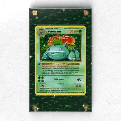 Immagine di Cornice Porta Carte Venusaur holo